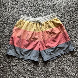 Men’s chubbies swim trunks